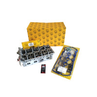 Cylinder Head Kit -  Holden F18D4 Early 