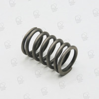 Mazda Valve Spring Mazda Valve Spring