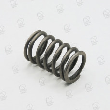 Mazda Valve Spring